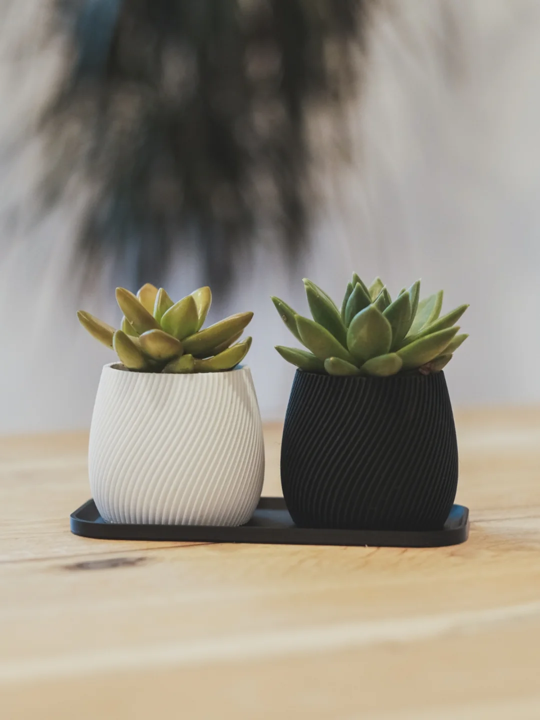 Desk Planters view 2