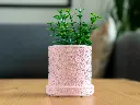 Bloom Etch Planters
